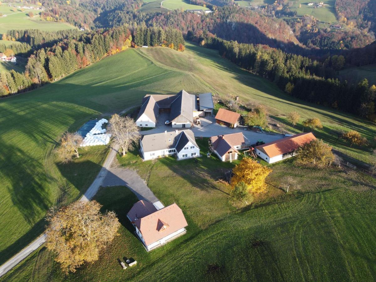 Ferienhaus Reisinger Promschhof Semriach エクステリア 写真