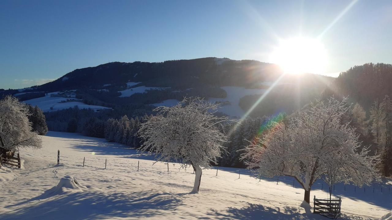 Ferienhaus Reisinger Promschhof Semriach エクステリア 写真