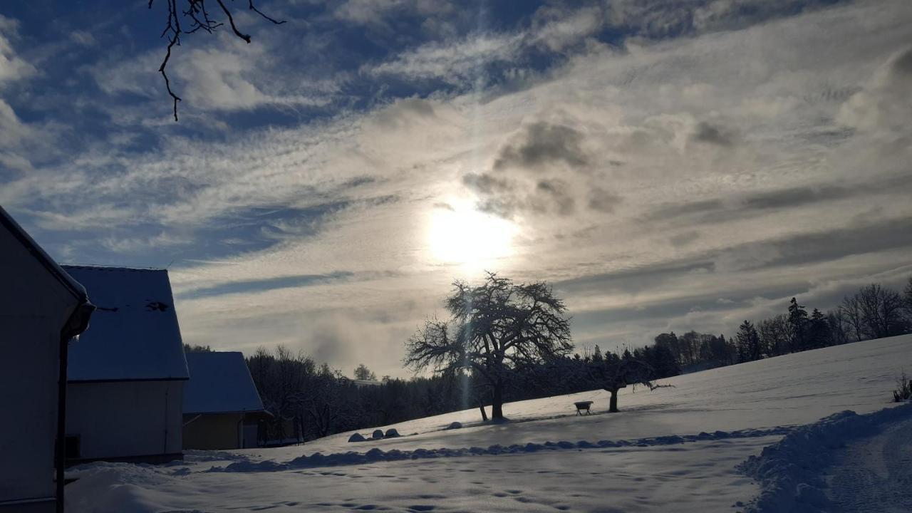 Ferienhaus Reisinger Promschhof Semriach エクステリア 写真