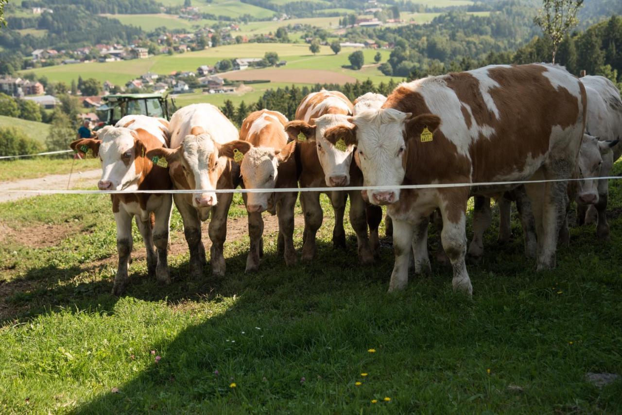 Ferienhaus Reisinger Promschhof Semriach エクステリア 写真