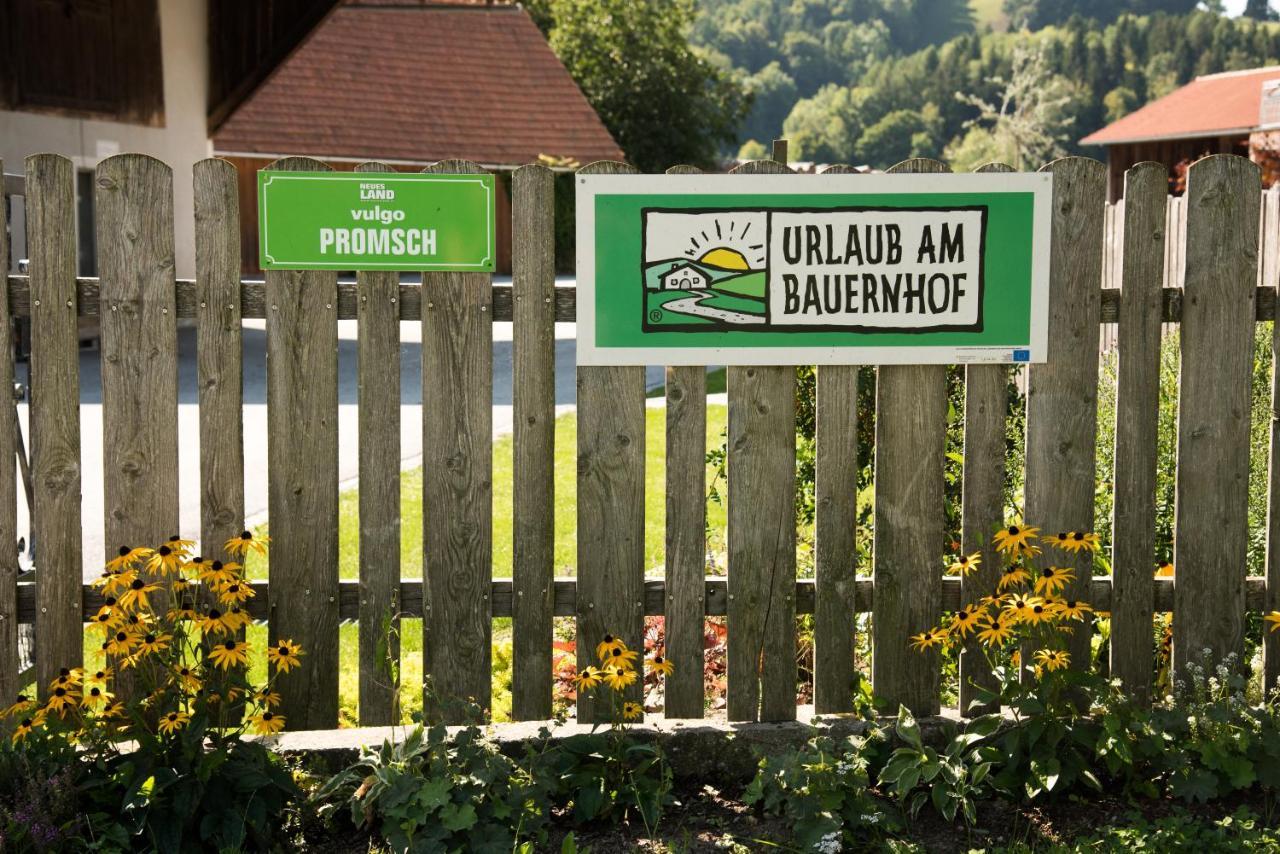 Ferienhaus Reisinger Promschhof Semriach エクステリア 写真