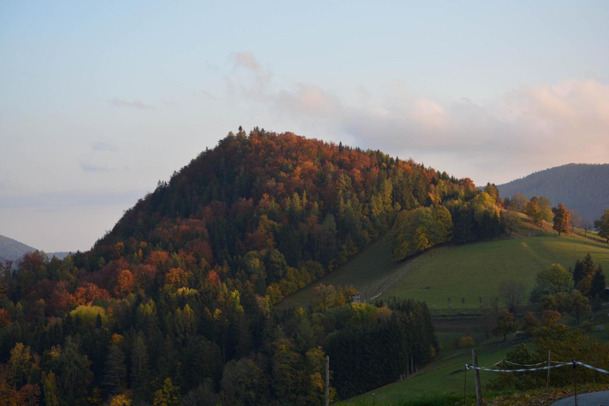 Ferienhaus Reisinger Promschhof Semriach エクステリア 写真