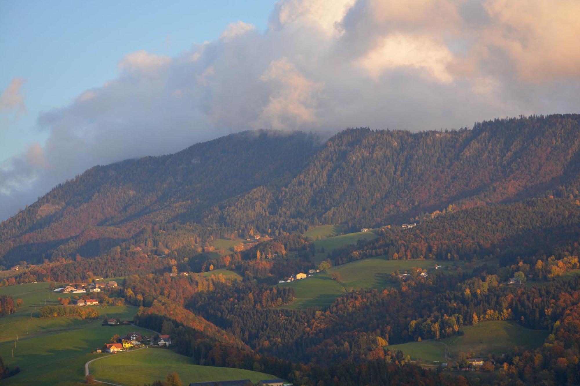 Ferienhaus Reisinger Promschhof Semriach エクステリア 写真